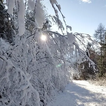 Le Panoramic 1300 - Proche La Plagne