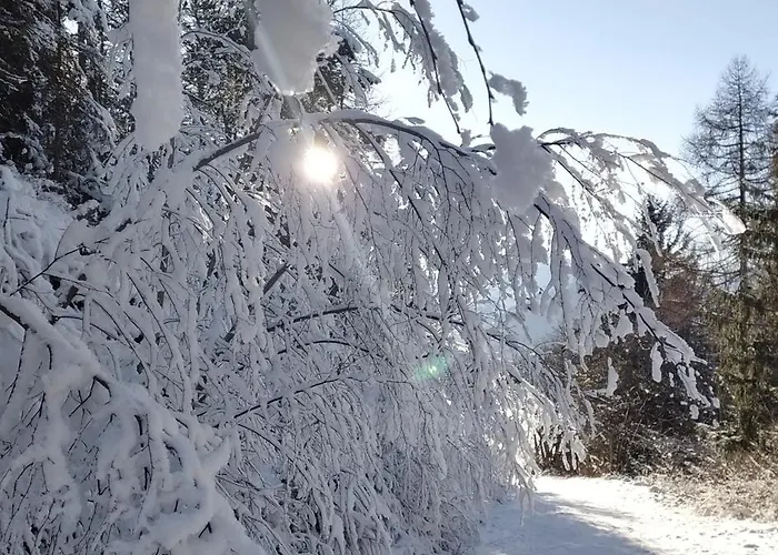 Le Panoramic 1300 - Proche La Plagne